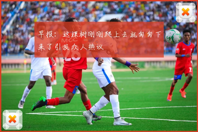 早报：这棵树刚刚爬上去就匆匆下来了引发众人热议